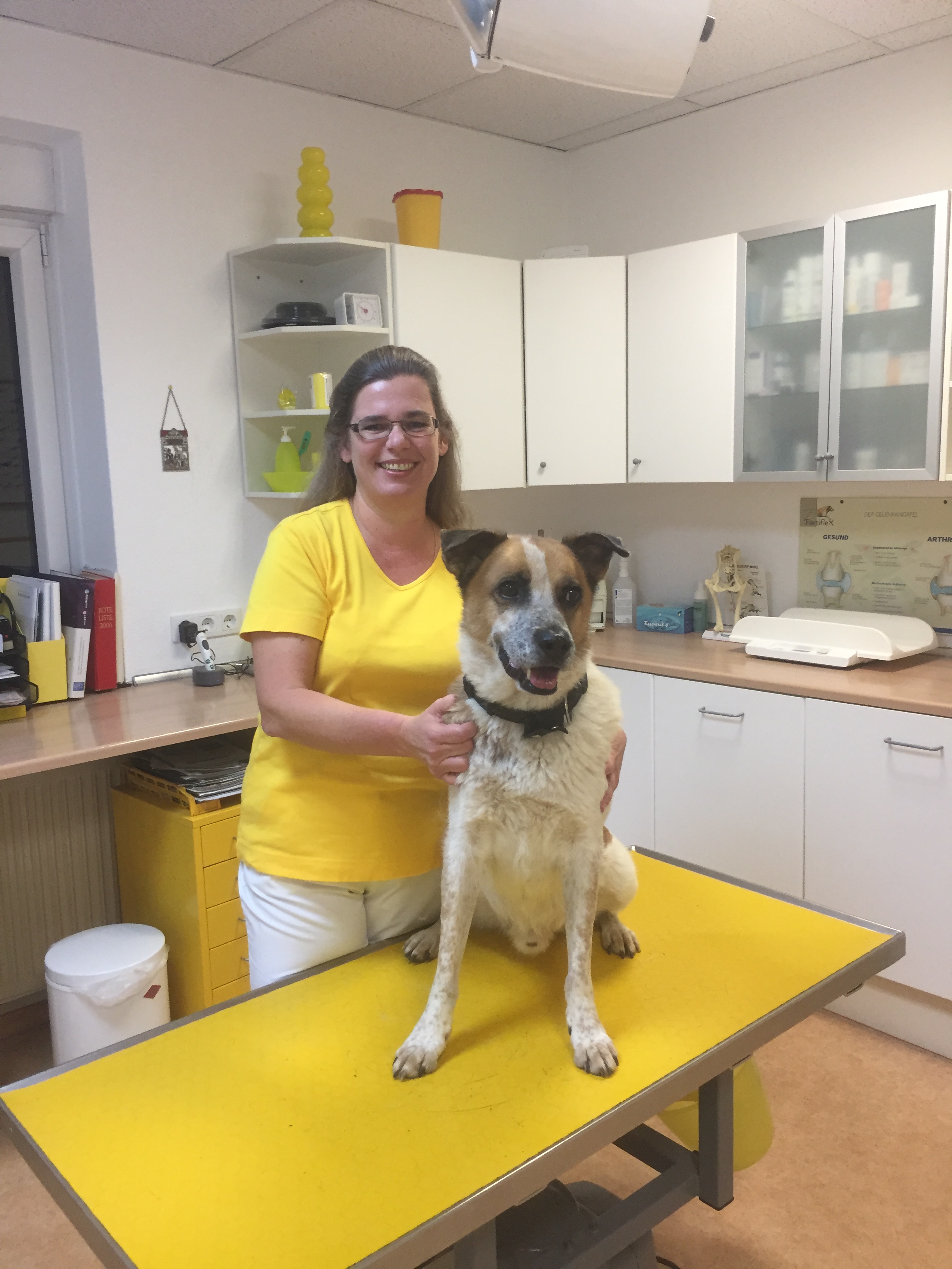 Dr. Med. Vet. Sabine Maßhoff Tierärztin